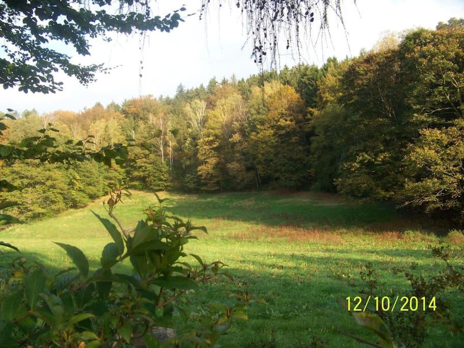 Gartentraum, Feuergrill, Kids-Spielwelt, 4Raeume Hartenstein  ภายนอก รูปภาพ